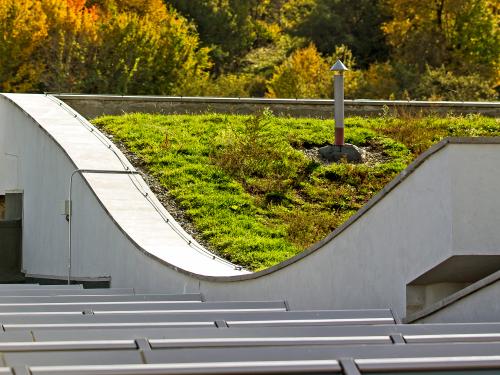 Pitched green roof